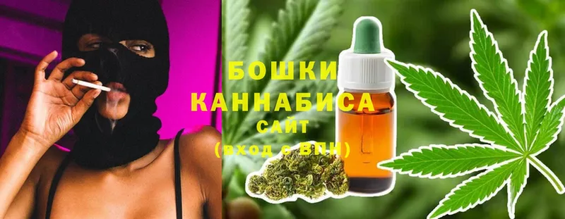 Конопля OG Kush  закладки  Солигалич 